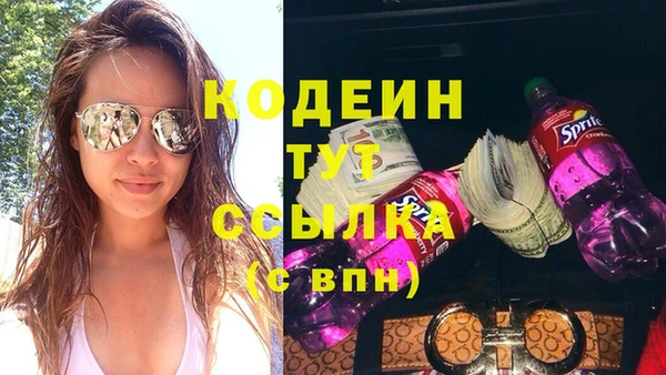 дурь Осташков