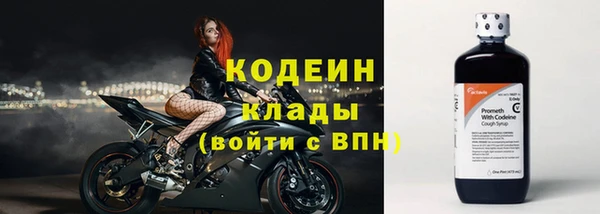 дурь Осташков