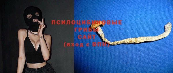 дурь Осташков