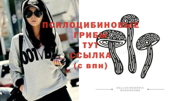 спиды Ижевск