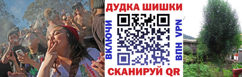 omg ONION  Советский  Бошки Шишки VHQ 